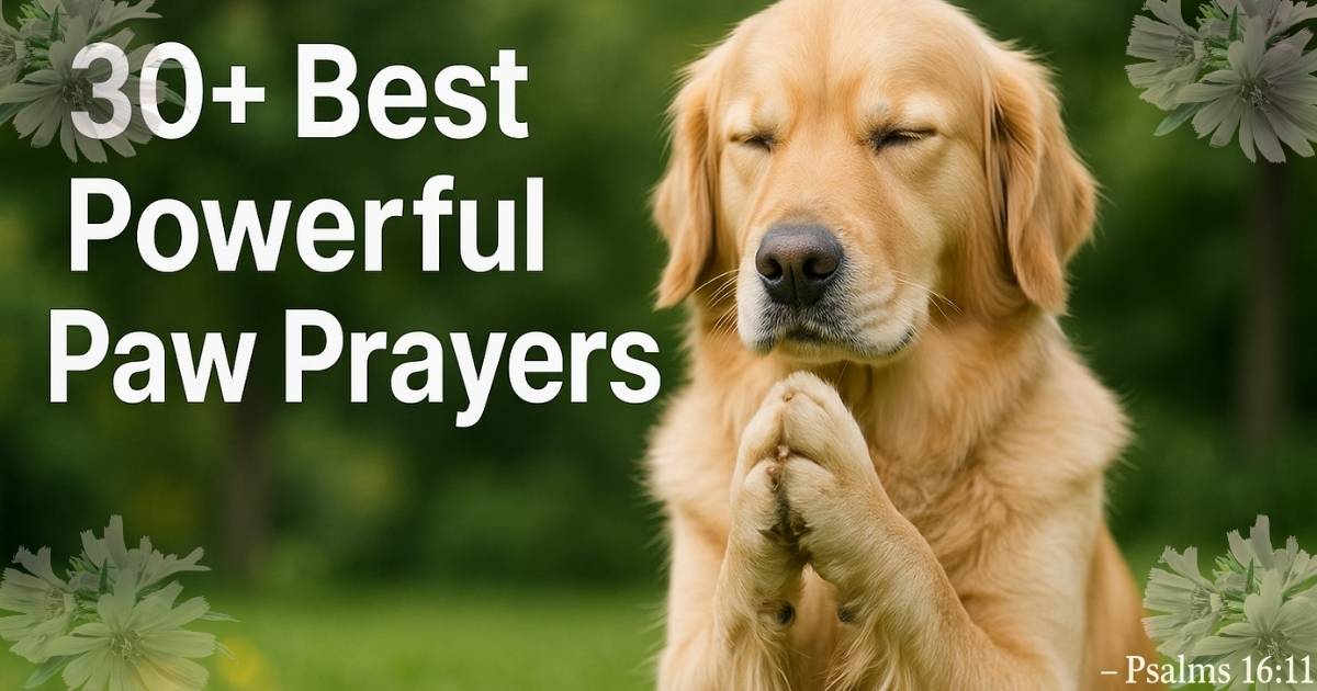 30+ Best Powerful Paw Prayers