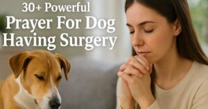 Prayer For Dog Having Surgery