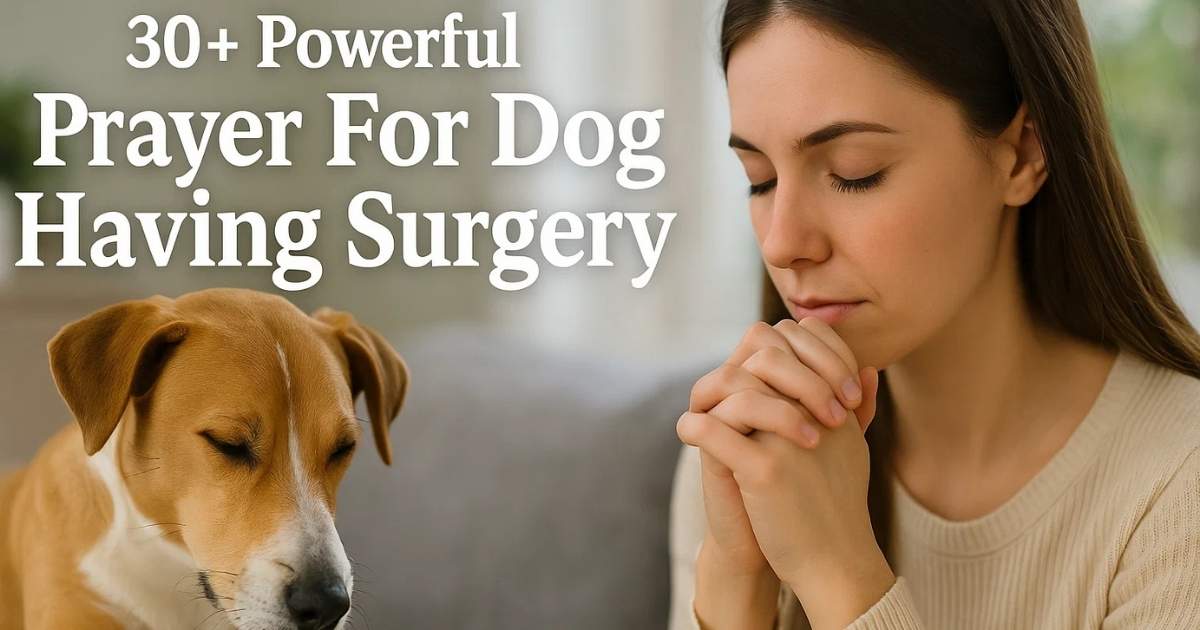 Prayer For Dog Having Surgery